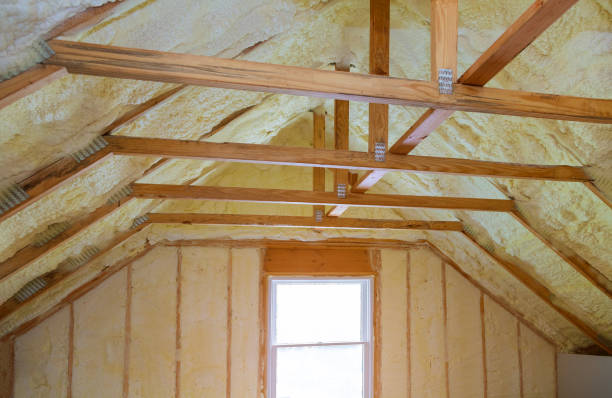 Best Cellulose Insulation  in Aurora, SD