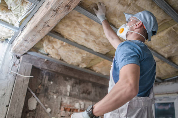 Best Insulation Replacement Services  in Aurora, SD