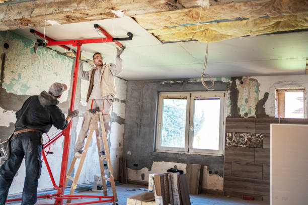 Best Spray Foam Insulation  in Aurora, SD