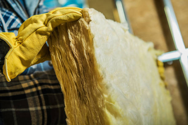 Best Soundproof Insulation Installation  in Aurora, SD