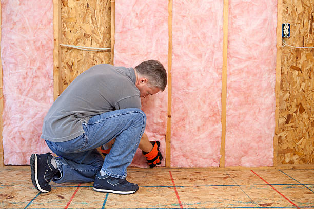 Insulation Repair Services in Aurora, SD